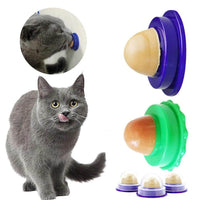 Thumbnail for Healthy Cat Snacks - Nutritious Jelly Ball - KittyNook
