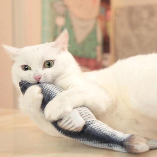 Kiki the Dancing Fish™ Realistic Cat Toy - KittyNook