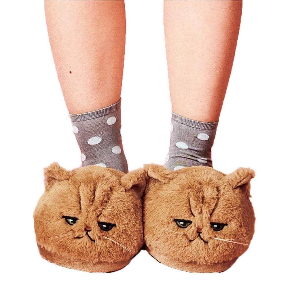 Lazy Cat Slippers - KittyNook