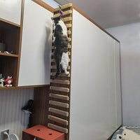 Thumbnail for Climber Clamber Sisal Rope Cat Bridge - KittyNook Cat Company
