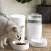 Large Capacity Minimalist Automatic Cat Feeder and Water Fountain - KittyNook Cat Company