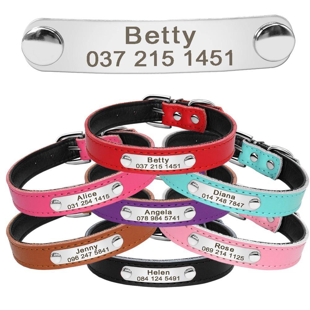 Leather Nameplate Cat Collar - KittyNook