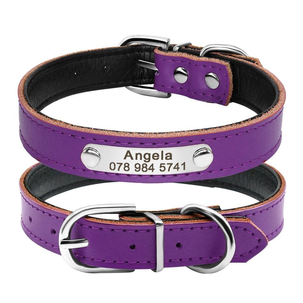 Leather Nameplate Cat Collar - KittyNook