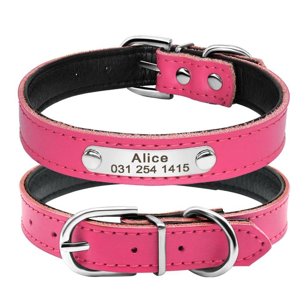 Leather Nameplate Cat Collar - KittyNook