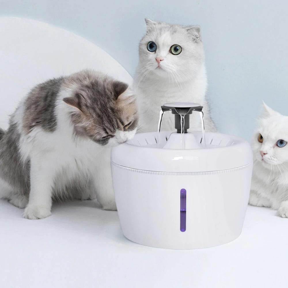 Minimalistic Drinking Fountain Pet Bowls, Feeders & Waterers KittyNook Minimalistic Drinking Fountain  