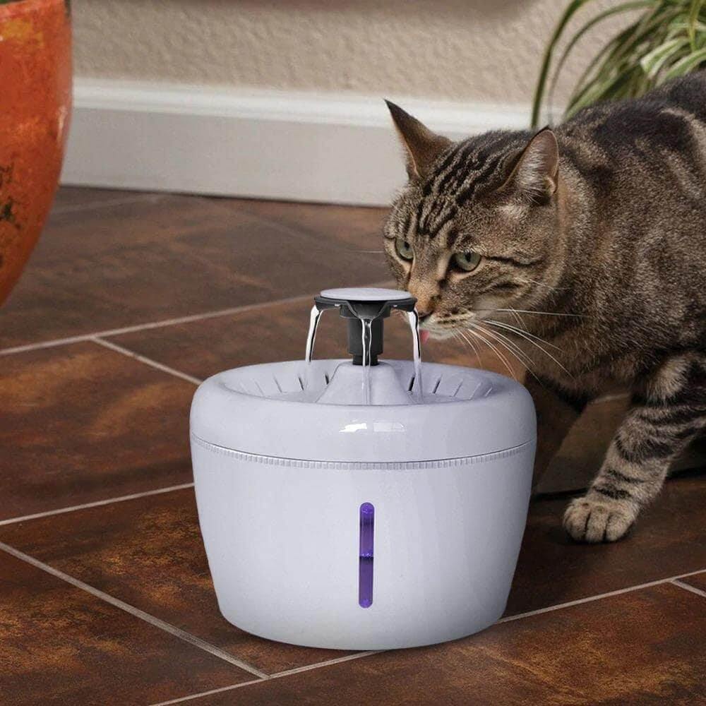 Minimalistic Drinking Fountain Pet Bowls, Feeders & Waterers KittyNook   