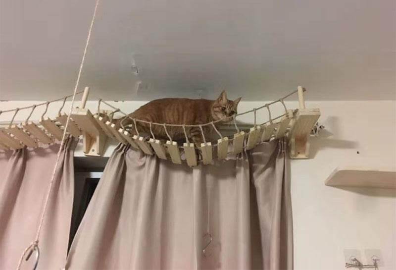 Nancy Sway Wooden Rope Bridge Cat Furniture KittyNook   