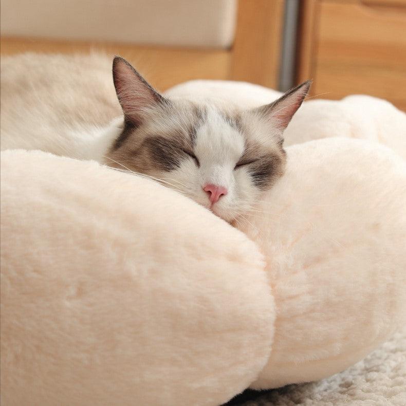 Petal Purr Fancy Cat Bed - KittyNook Cat Company