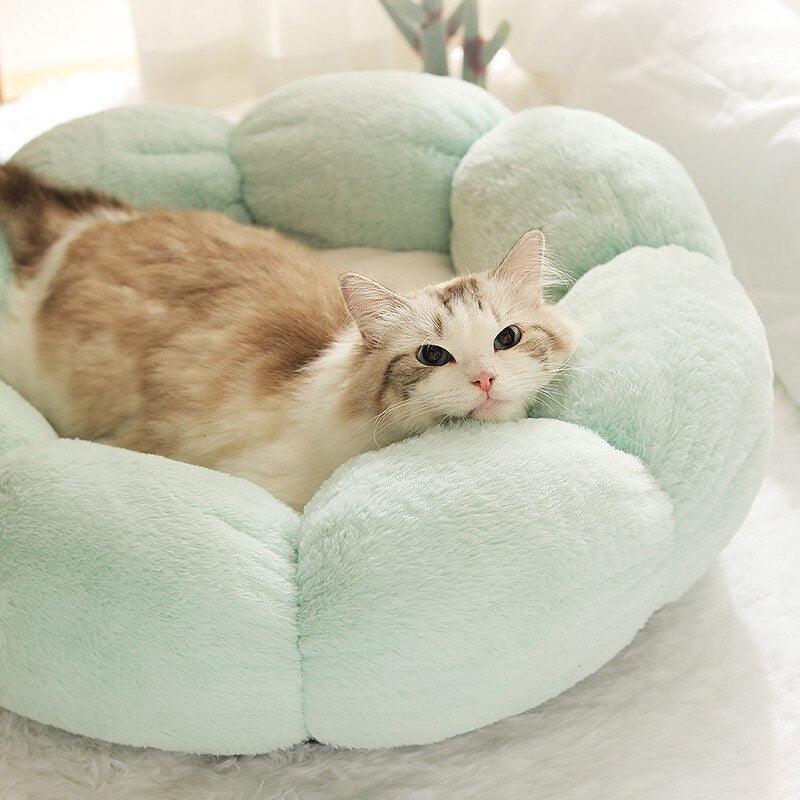Petal Purr Fancy Cat Bed - KittyNook Cat Company
