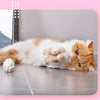 Plushie Cat Training Balls (Set of 3) - KittyNook