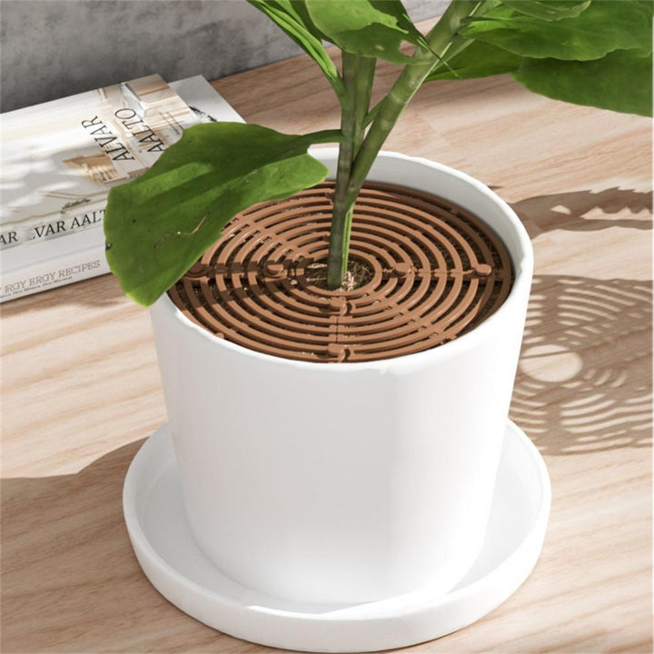 house plant soil cover Potted Plant Soil Guard – KittyNook Cat Co