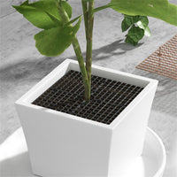 indoor plant pot soil covers Potted Plant Soil Guard – KittyNook Cat Co