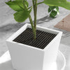 Load image into Gallery viewer, Potted Plant Soil Guard - KittyNook Cat Company