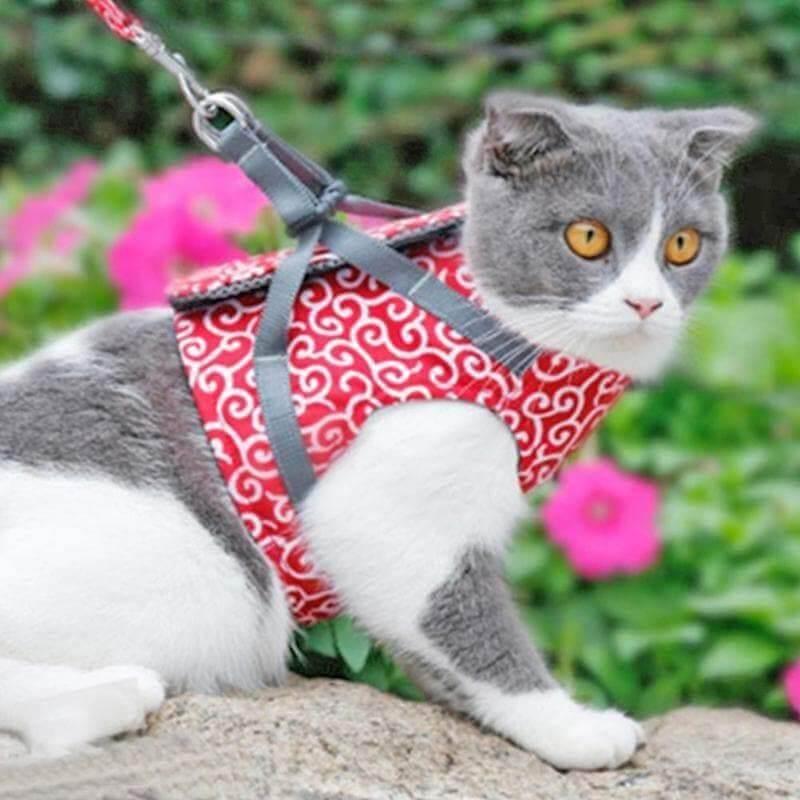 Premium Japanese Style Escape-Proof Best Cat Harness Cat Collars & Harnesses kittynook   