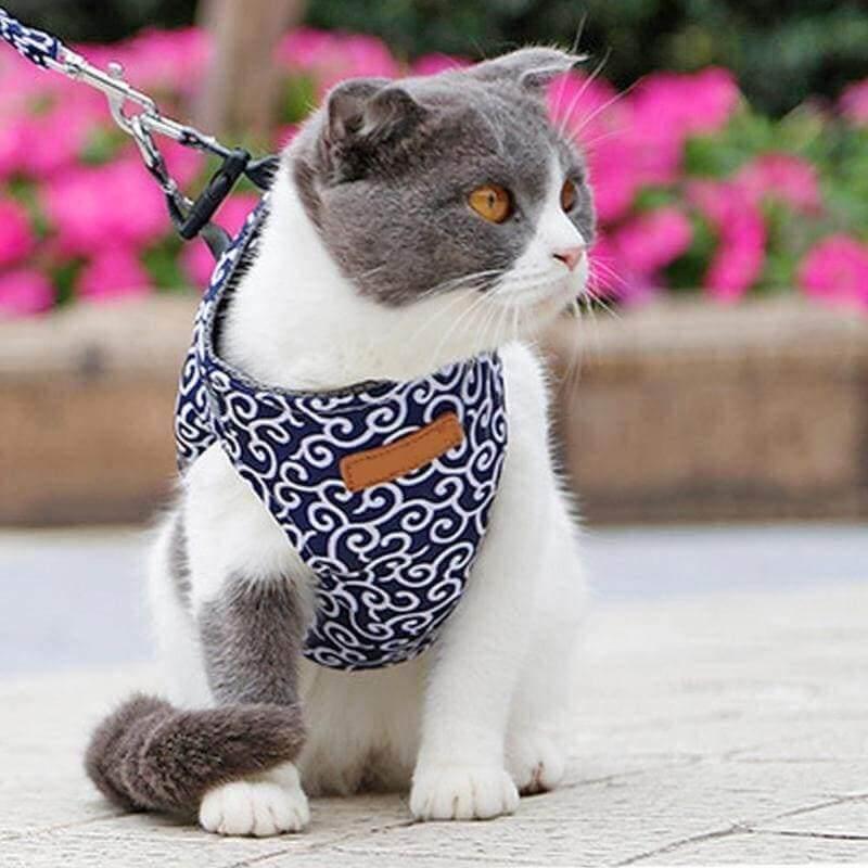 Premium Japanese Style Escape-Proof Best Cat Harness Cat Collars & Harnesses kittynook Blue XS 