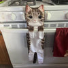Ragtastic Cat Hand Towels - KittyNook Cat Company