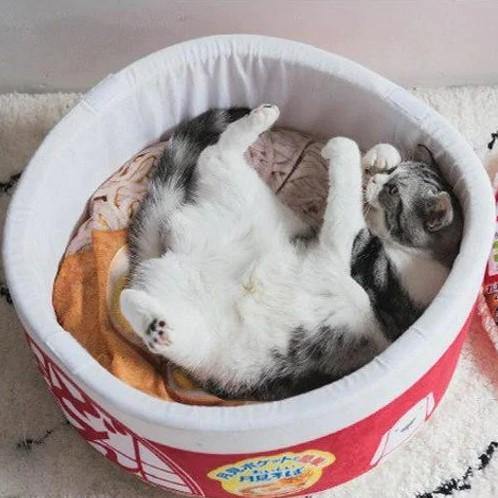 Ramen Noodles Pet Bed - KittyNook