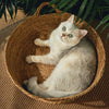 Rattan Cat Bed - KittyNook Cat Company