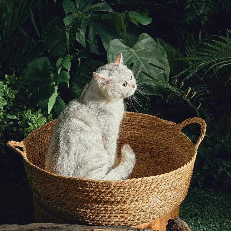 Rattan Cat Bed - KittyNook Cat Company