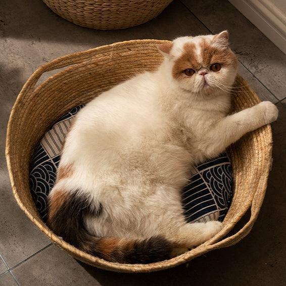 Rattan Cat Bed - KittyNook Cat Company