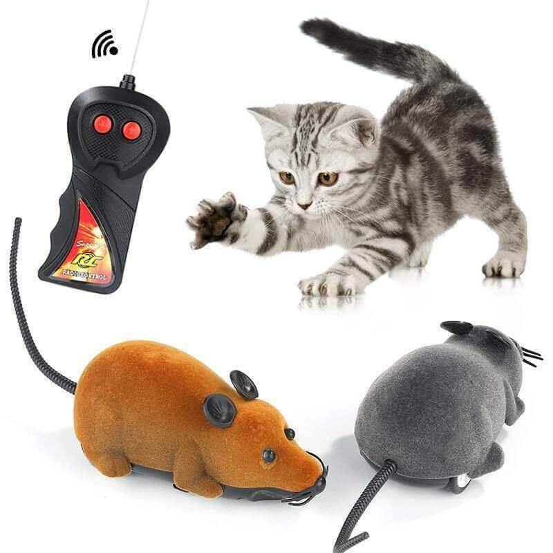 Riri the Rat Remote Control Cat Toy Cat Toys KittyNook Brown and Black  