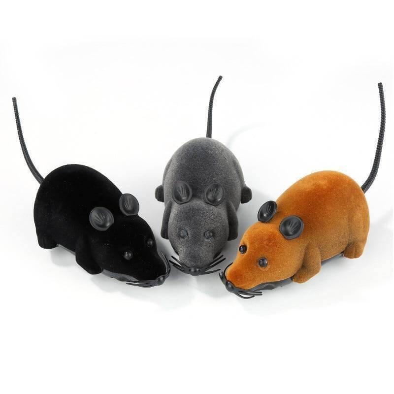 Riri the Rat Remote Control Cat Toy Cat Toys KittyNook   