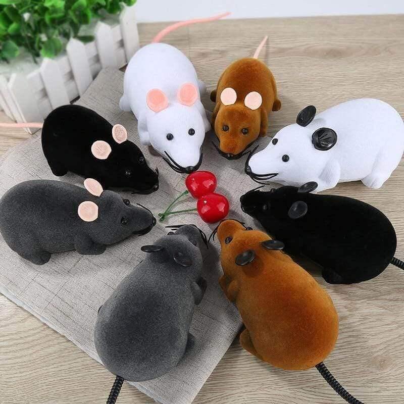 Riri the Rat Remote Control Cat Toy Cat Toys KittyNook   