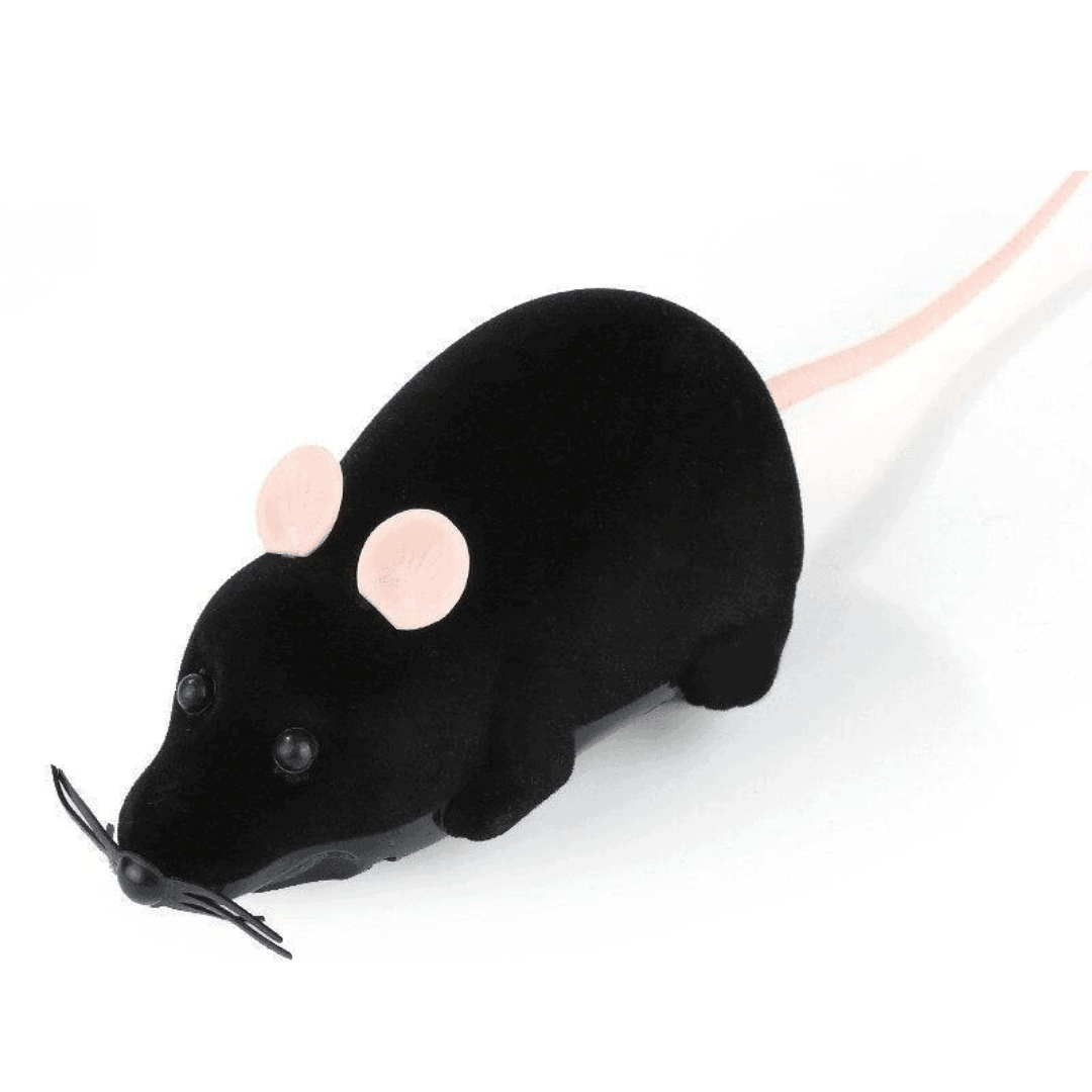 Riri the Rat Remote Control Cat Toy - KittyNook