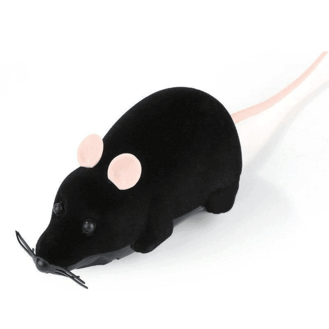 Riri the Rat Remote Control Cat Toy Cat Toys KittyNook Black and Pink  