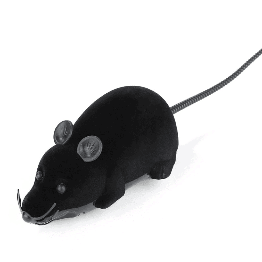 Riri the Rat Remote Control Cat Toy Cat Toys KittyNook Black and Black  