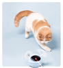 Load image into Gallery viewer, Roly-Poly 360 Laser Robot Cat Toy - KittyNook