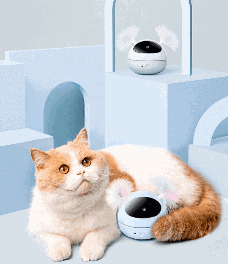 Roly-Poly 360 Cat Laser Robot Cat Toys KittyNook   