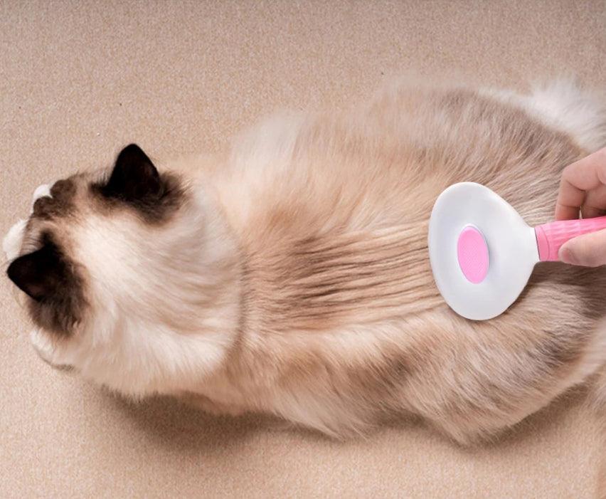What is Best Comb for Siamese Cat: Top Grooming Picks