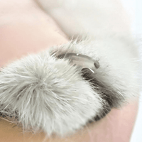 Thumbnail for Silver Snips Cat Nail Clip Scissor - KittyNook Cat Company