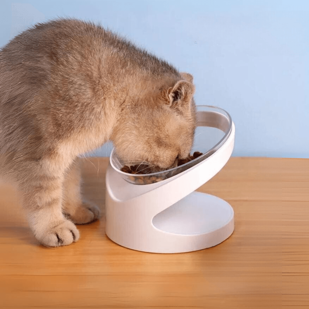 Sleek Eats Modern Cat Bowl With Stand Pet Bowls, Feeders & Waterers KittyNook Cat Company   