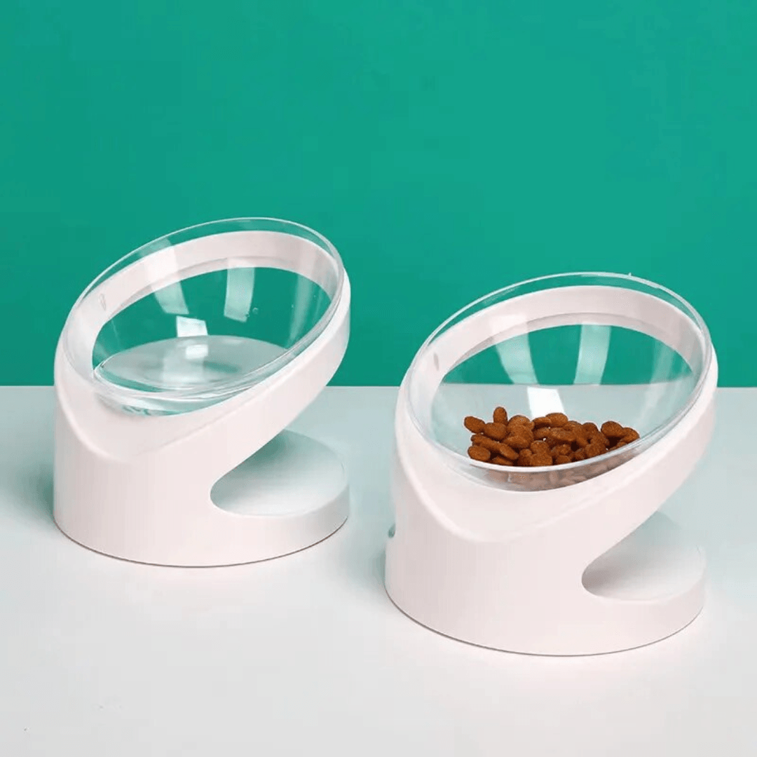 Sleek Eats Modern Cat Bowl With Stand Pet Bowls, Feeders & Waterers KittyNook Cat Company   