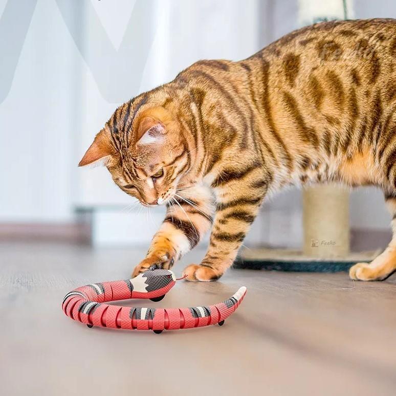 Slinky Moving Snake Cat Toy Cat Toys KittyNook Cat Company   