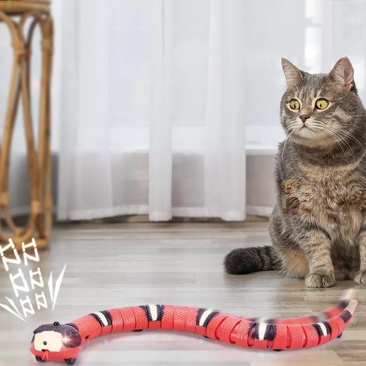 Slinky Moving Snake Cat Toy Cat Toys KittyNook Cat Company   