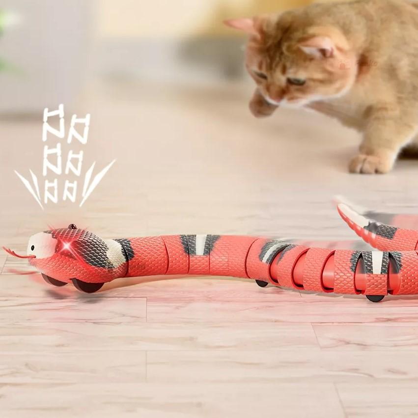 Slinky Moving Snake Cat Toy Cat Toys KittyNook Cat Company   