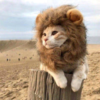 Thumbnail for So Kawaii! Lion Mane Cat Costume - KittyNook