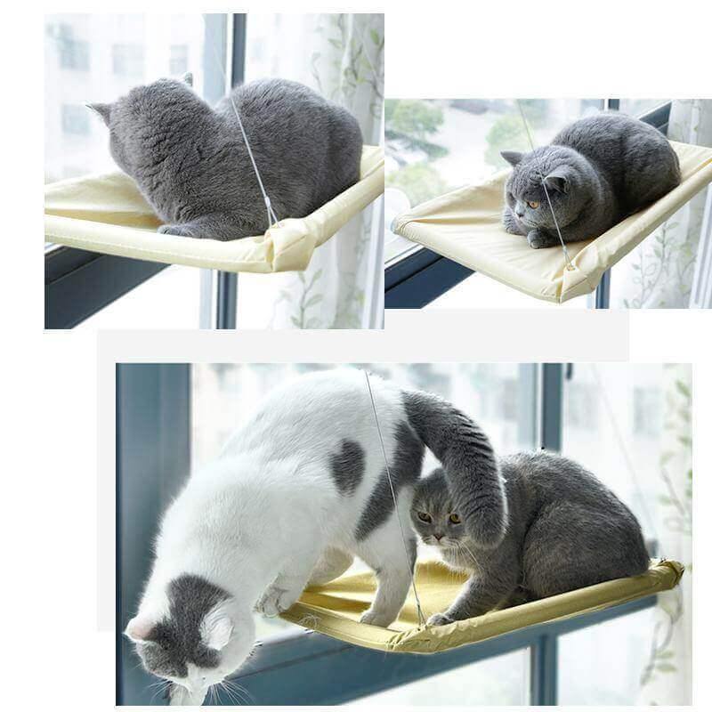 So-Sturdy Cat Window Perch - KittyNook