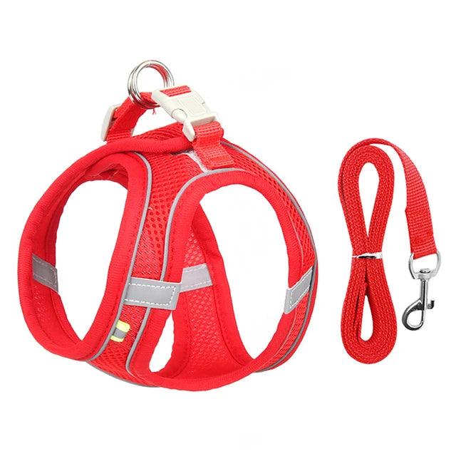 Sofy Breathable Cat Harness and Leash Pet Collars & Harnesses KittyNook Cat Company Red XS 