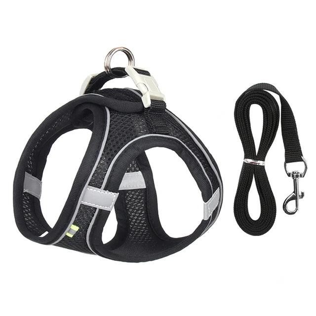 Sofy Breathable Cat Harness and Leash Pet Collars & Harnesses KittyNook Cat Company Black XS 