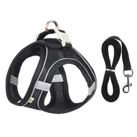 Thumbnail for Sofy Breathable Cat Harness and Leash Pet Collars & Harnesses KittyNook Cat Company Black XS 