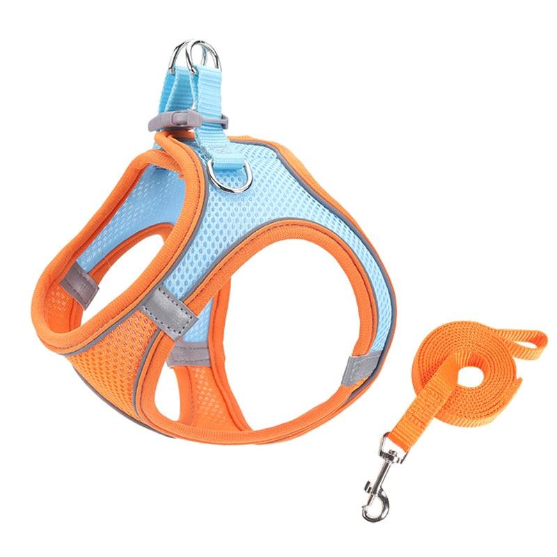 Sofy Breathable Cat Harness and Leash - KittyNook Cat Company