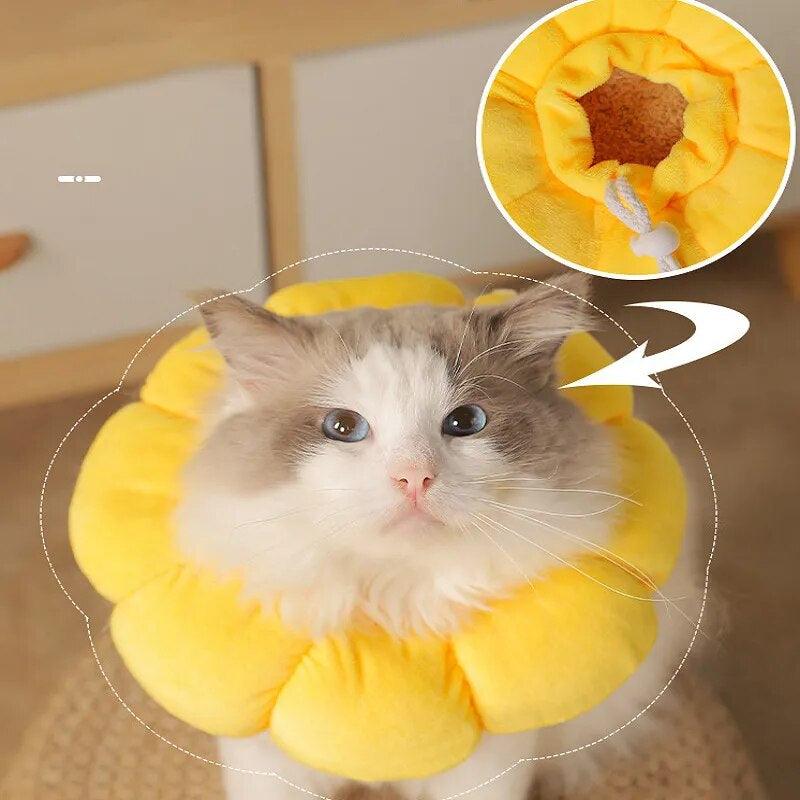 Sunflower Bloom Recovery Collar Pet Medical Collars KittyNook Cat Company   