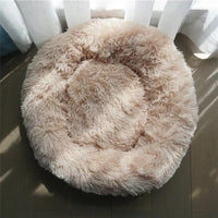 Thumbnail for Sweet Dreams Luxury Cat Bed Cat Beds KittyNook Beige S 