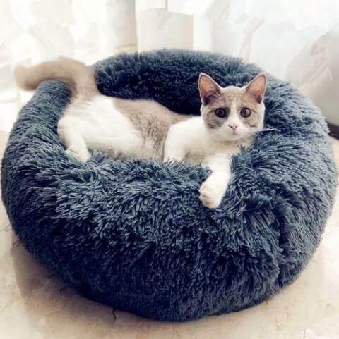 Sweet Dreams Luxury Cat Bed Cat Beds KittyNook   