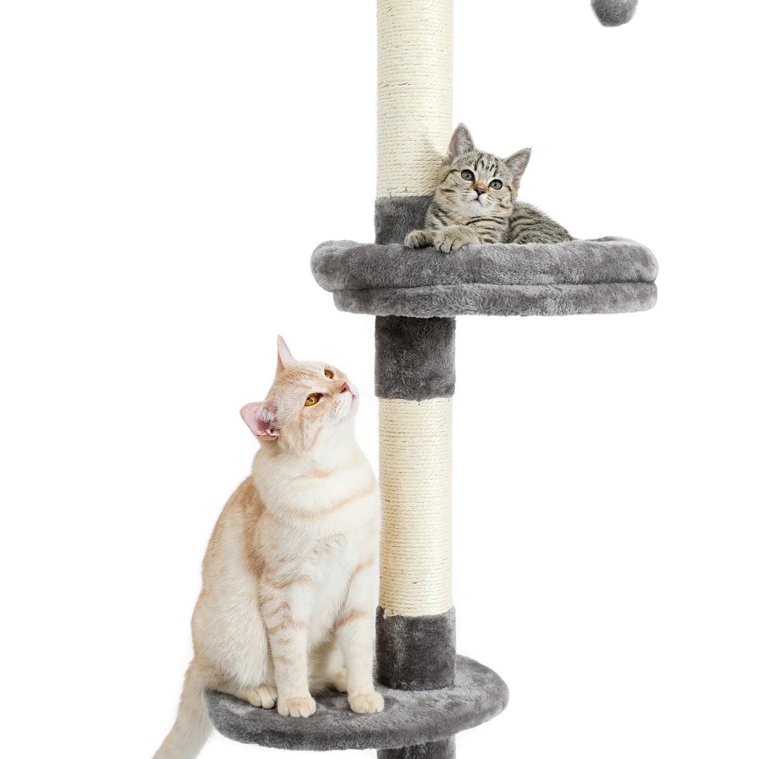 Tall Tiny Cat Tree - KittyNook Cat Company