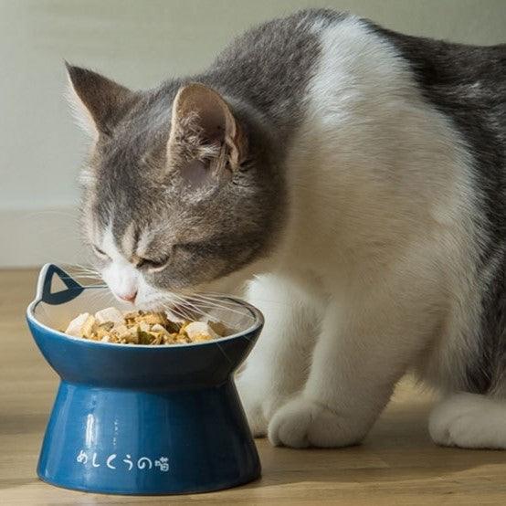 The Meow Ceramic Cat Bowl - KittyNook Cat Company